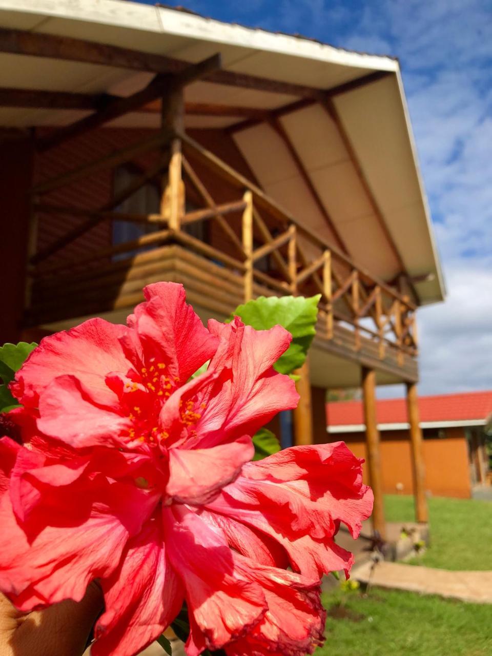 Cabanas Anavai Rapa Nui Hanga Roa Exterior photo